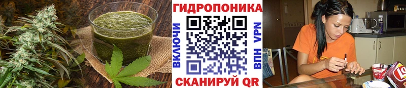 Canna-Cookies конопля  где купить наркоту  Абакан 