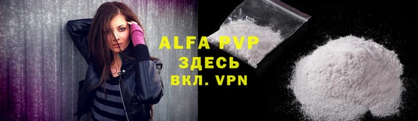 гашик Нефтекумск