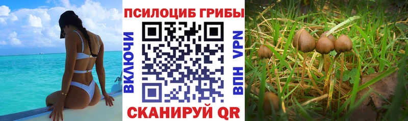 МЕГА ONION  Абакан  Галлюциногенные грибы MAGIC MUSHROOMS  купить наркотики цена 