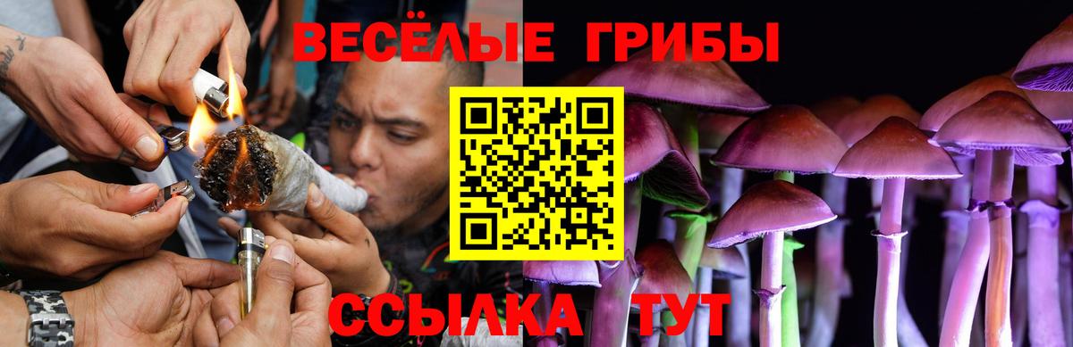 Псилоцибиновые грибы Cubensis Абакан
