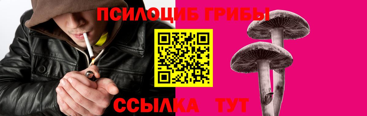 Абакан  Псилоцибиновые грибы MAGIC MUSHROOMS  Вход с VPN  Галлюциногенные грибы мухоморы 
